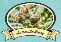 Automatic Berry